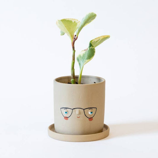 Four-Eyes Faceplanter - Sand