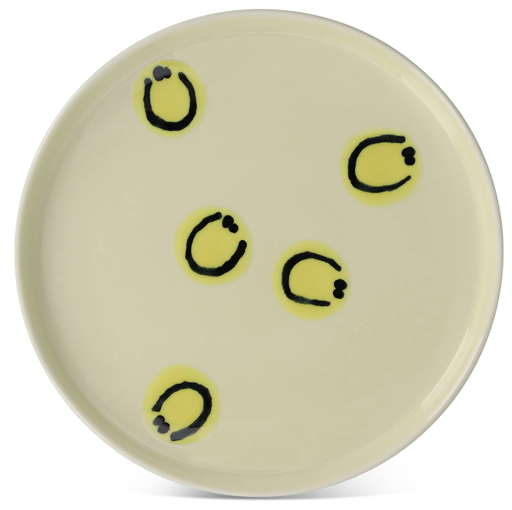 Frizbee Baby Plate
