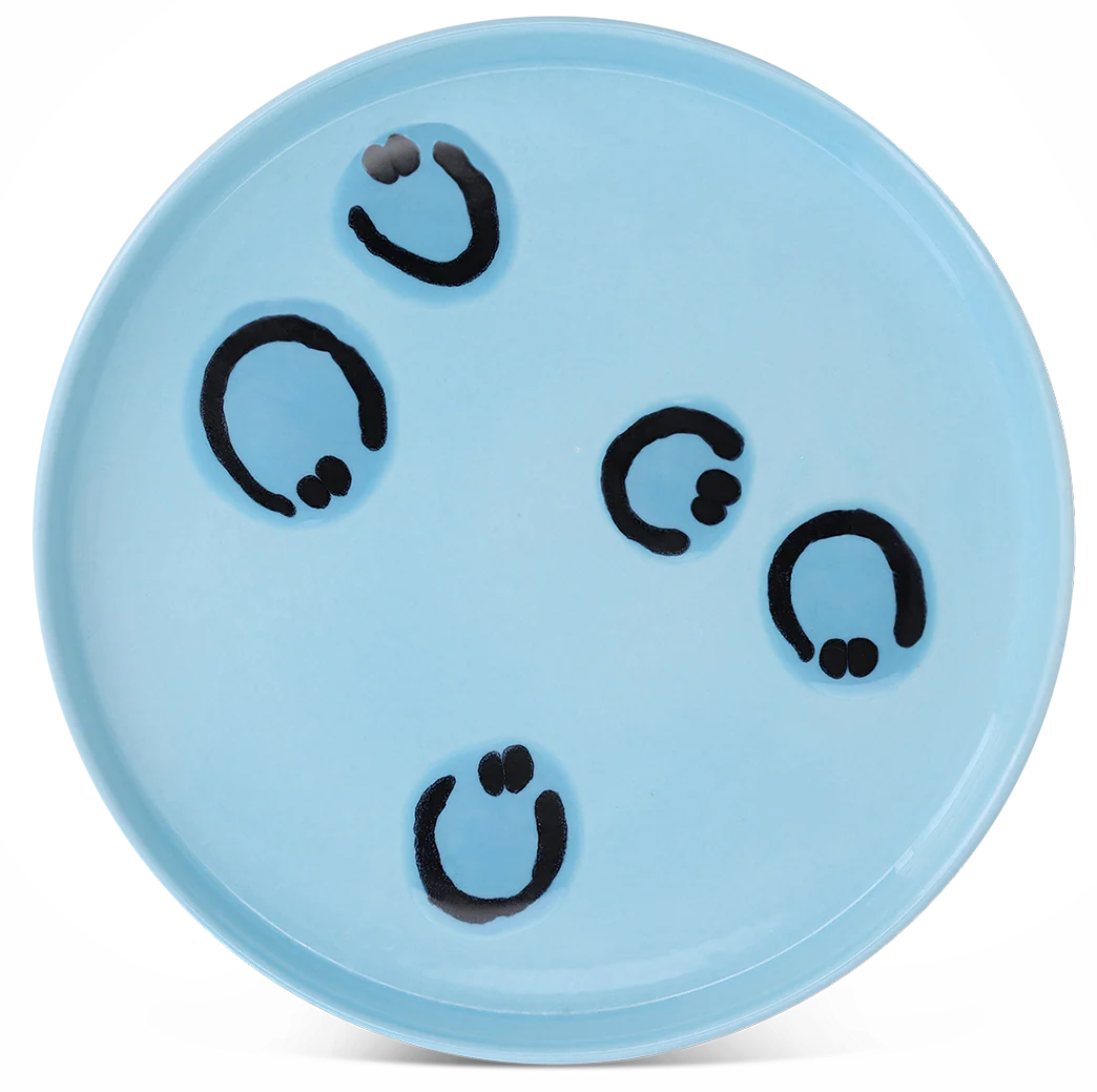 Frizbee Baby Plate