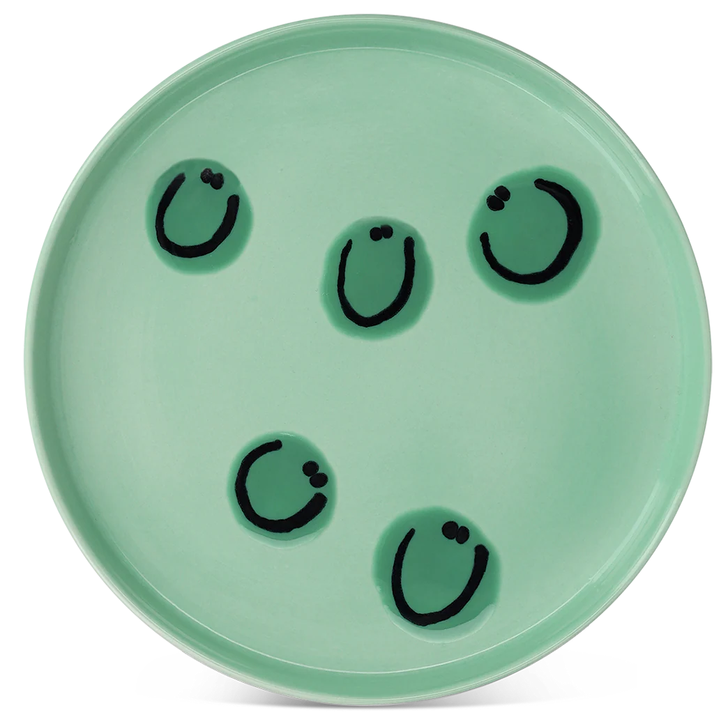 Frizbee Baby Plate