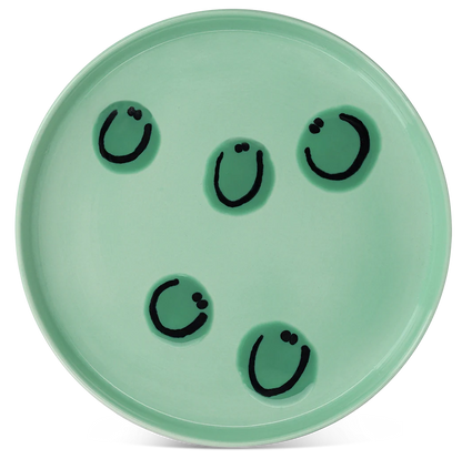 Frizbee Baby Plate