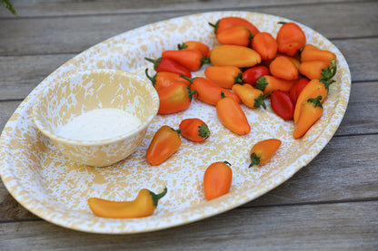 Splatter Enamelware Oval Platter (Color Variants)