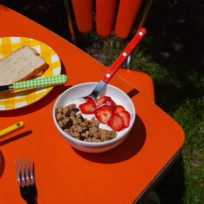 Sabre Burgundy Flatware