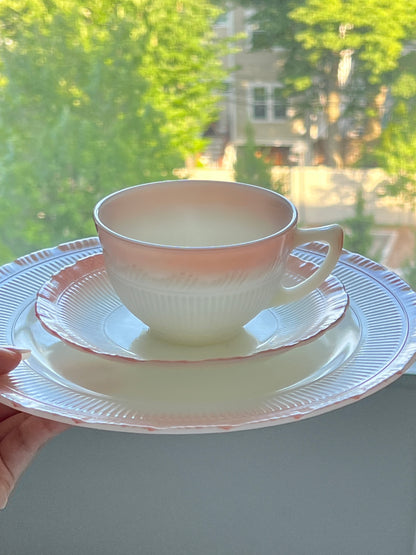 Pink Blush Translucent Dinnerware